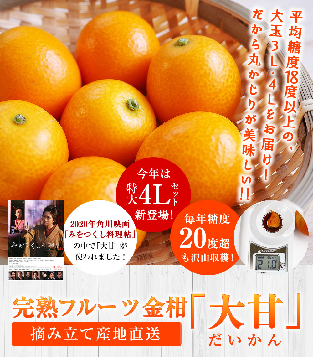 完熟フルーツ金柑「大甘（だいかん）」 